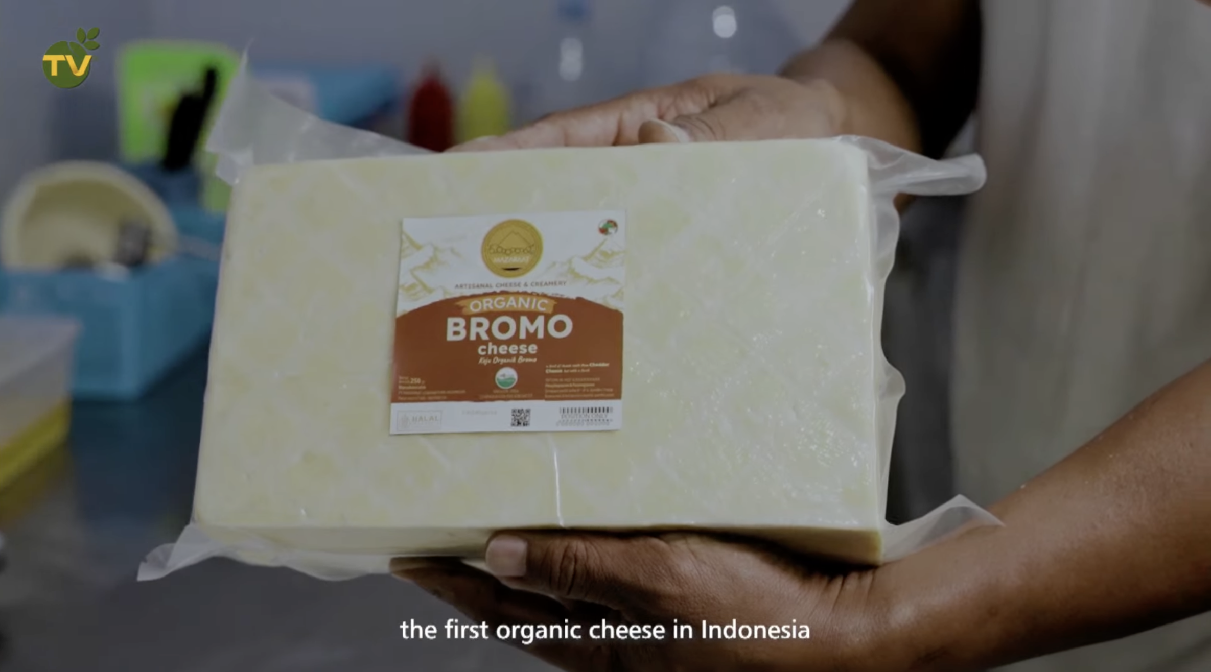 Mazaraat Cheese Produksi Keju Organik Pertama di Indonesia