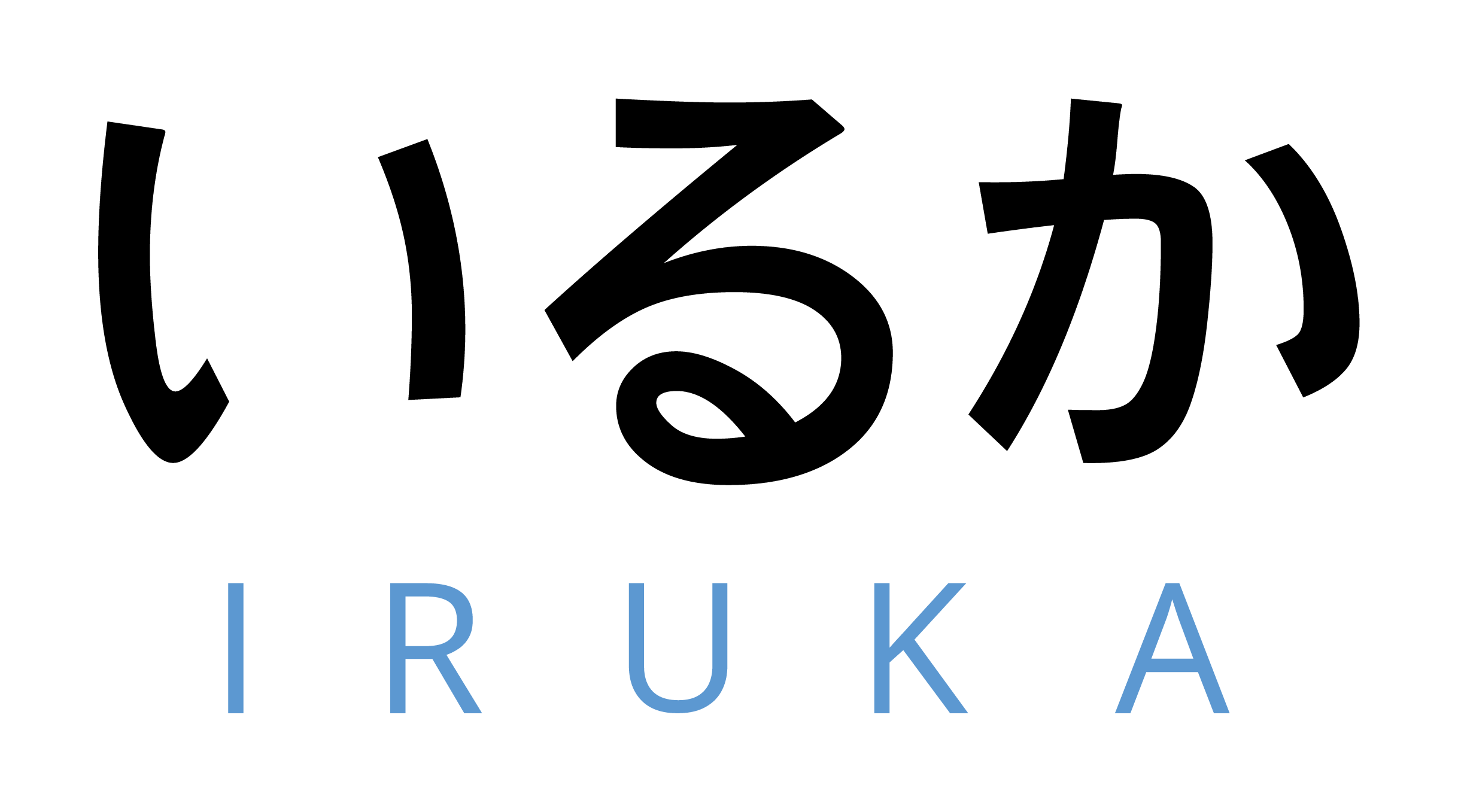 Iruka logo revisi_horizontal black logocopy 2